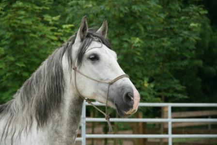 Behandlung